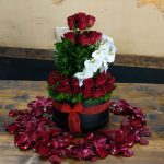 Windy Among The Red Rose's with Orchid's